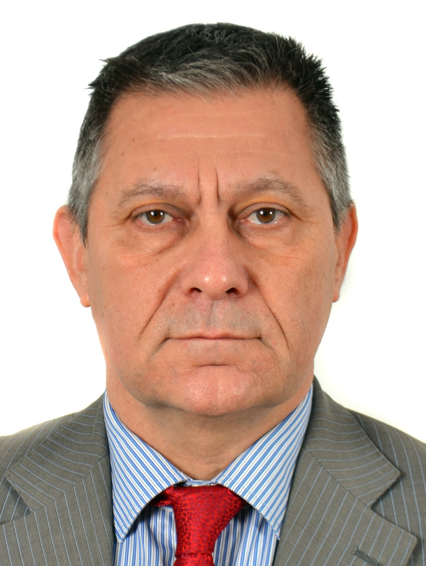 МВнР :: Ръководител на мисията